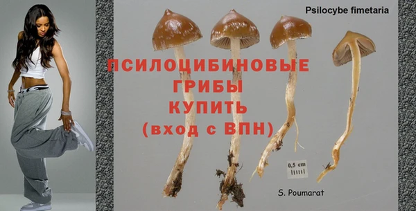 spice Аркадак