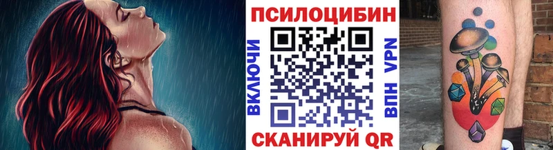 Псилоцибиновые грибы Cubensis  Купить закладки  Сосновый Бор 