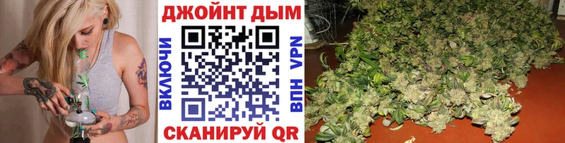 Купить  Сосновый Бор  Канабис индика 